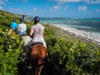 Paula&#39;s horse was Rusty. When they gave her her horse she thought they were telling her that he was a little rusty, then realized that was actually his name. At the front of the line is our excellent guide Remy as he leads us down to the water in  Le Galion Bay , also known as Baie de L&#39;Embouchure.